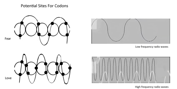 Codons